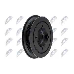 NTY RKP-PL-001