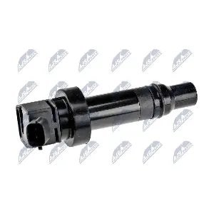NTY ECZ-HY-512