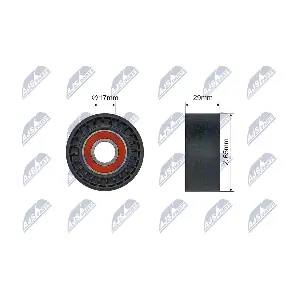 NTY RNK-AR-018