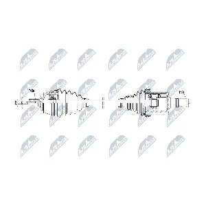 NPW-VV-166 NTY