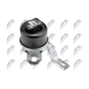 ZPS-VV-005 NTY