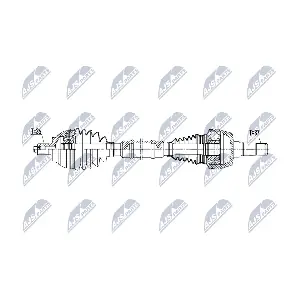 NPW-VW-221 NTY