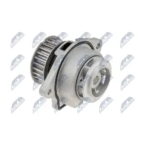 NTY CPW-VW-019