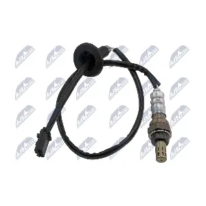 NTY ESL-MS-011