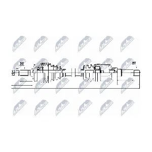 NPW-PE-015 NTY