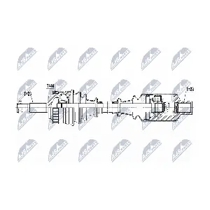 NPW-RE-111 NTY