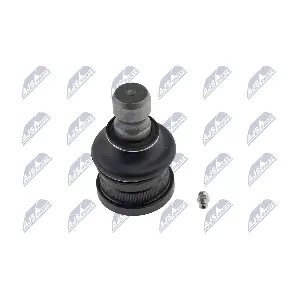 NTY ZSD-PL-001