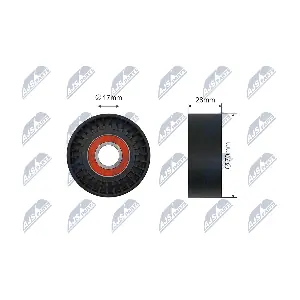 NTY RNK-FT-019
