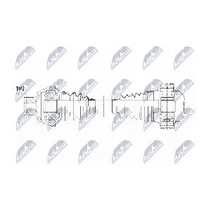 NPW-VW-079 NTY