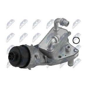 NTY CCL-PL-005