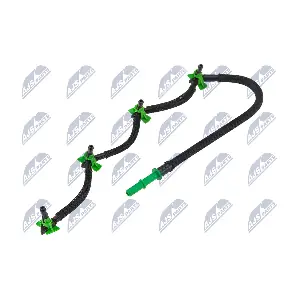 BPP-FR-018 NTY