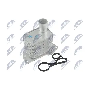 NTY CCL-PL-025