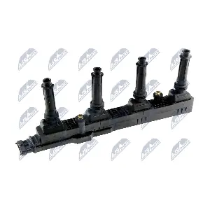 ECZ-PL-031 NTY
