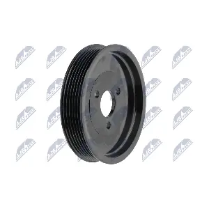 RKP-BM-031 NTY