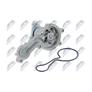 CPW-HD-037 NTY