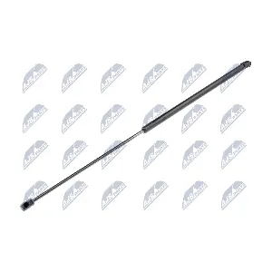 AE-SK-010 NTY