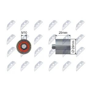 RNK-AU-081 NTY