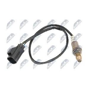 NTY ESL-VV-001