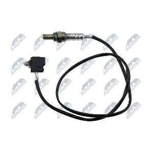 NTY ESL-MZ-016