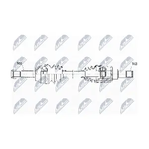 NPW-FR-119 NTY