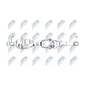 NTY NPW-CT-081
