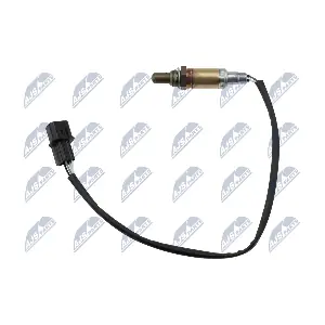 NTY ESL-MS-005