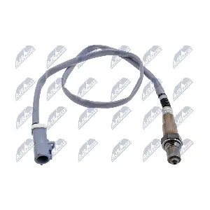 ESL-FR-010 NTY