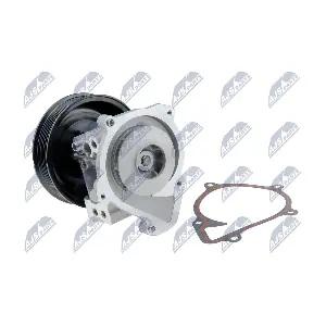 NTY CPW-FR-051