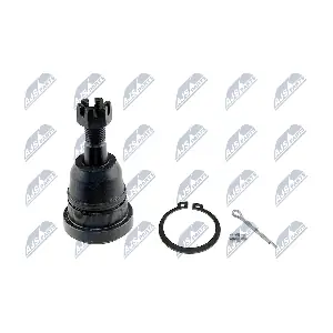 ZSG-NS-006 NTY