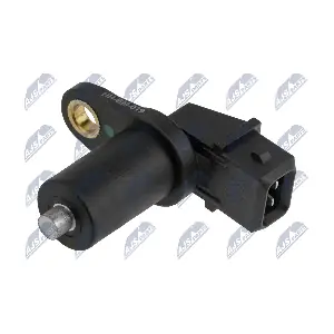 NTY ECPBM019