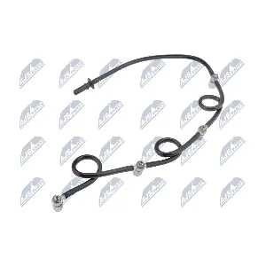 BPP-FR-004 NTY