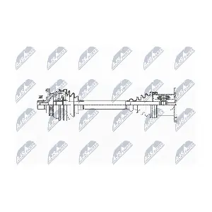 NPW-VW-036 NTY