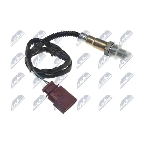 ESL-AU-006 NTY