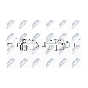 NPW-PE-037 NTY
