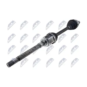 NPW-LR-011 NTY