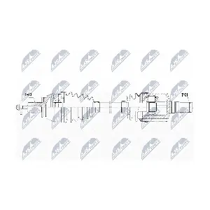NTY NPW-FR-096