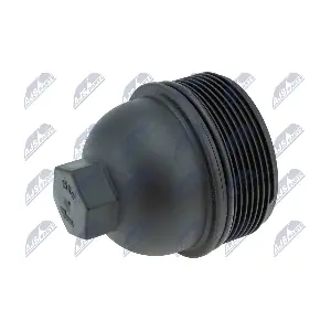 CCL-BM-056 NTY