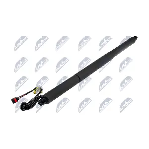 AE-SK-025 NTY