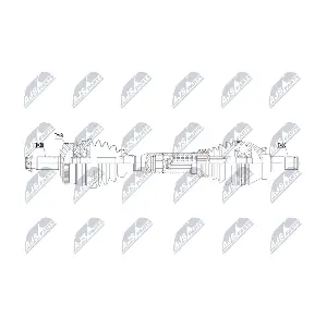 NPW-LR-056 NTY