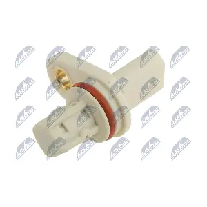 ECP-PL-032 NTY