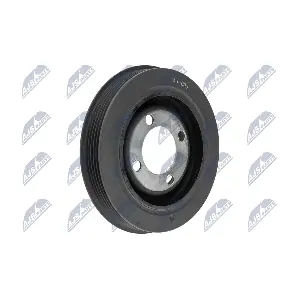 NTY RKP-CT-005