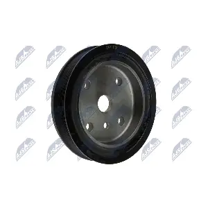 RKP-VV-003 NTY