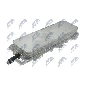 CCL-LR-008 NTY