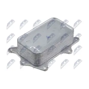 CCL-ME-048 NTY