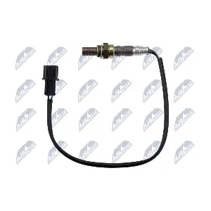 NTY ESL-MS-003