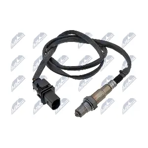 ESL-BM-019 NTY