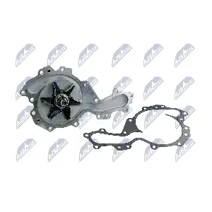 CPW-PL-056 NTY