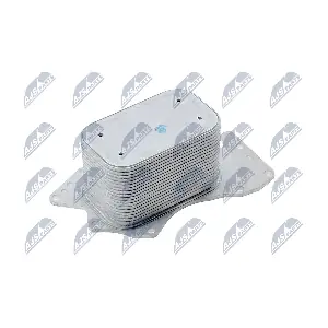 CCL-AU-029 NTY