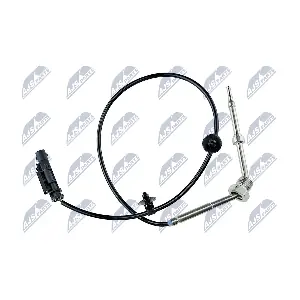 EGT-PL-039 NTY