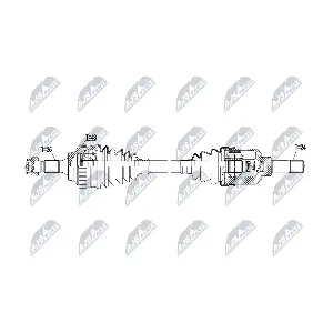 NPW-CT-165 NTY